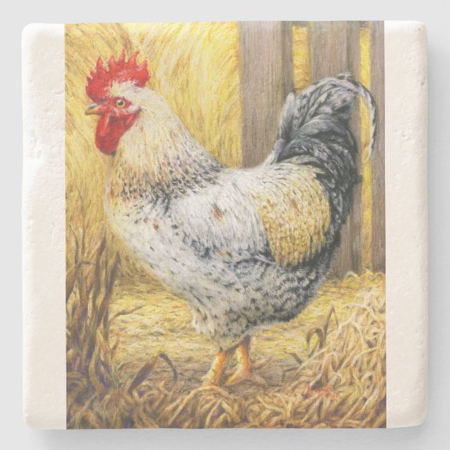 The Barn Rooster Stone Coaster (Front)