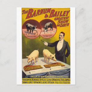The Barnum & Bailey greatest show on earth--Troupe Postcard