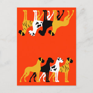 The basic Dane colours Postcard