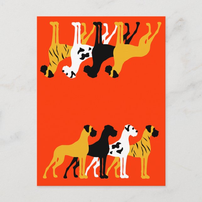 The basic Dane colours Postcard (Front)