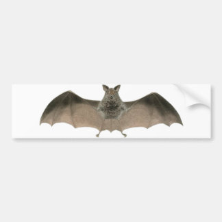 the bat bumper sticker