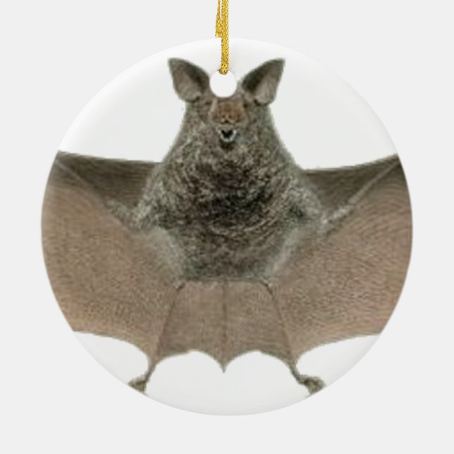 the bat ceramic ornament (Back)