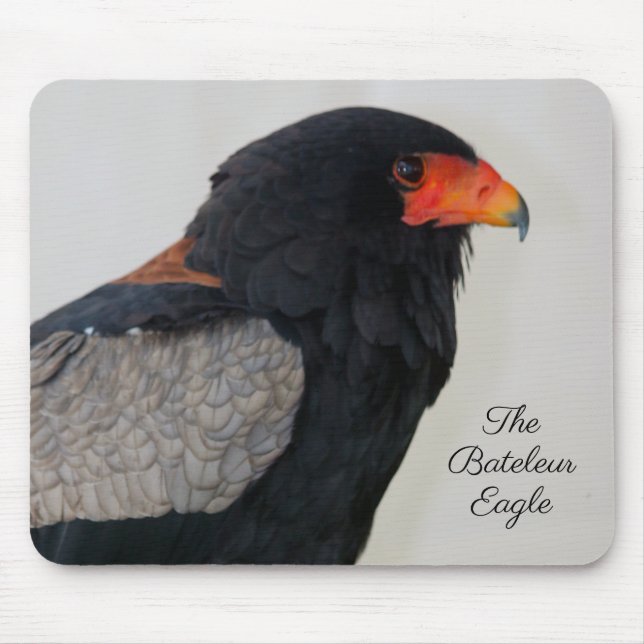 The Bateleur Eagle Mouse Pad (Front)