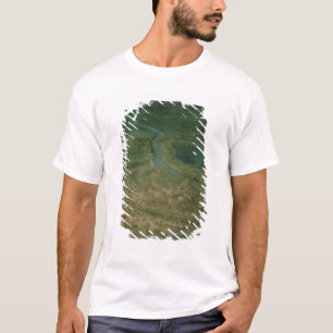 The Battle of Senta,at which the Imperial T-Shirt
