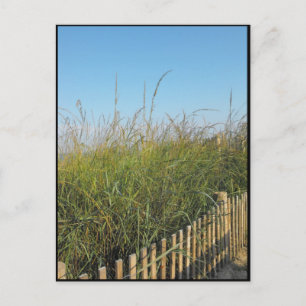 the Beach ~ 19 Postcard