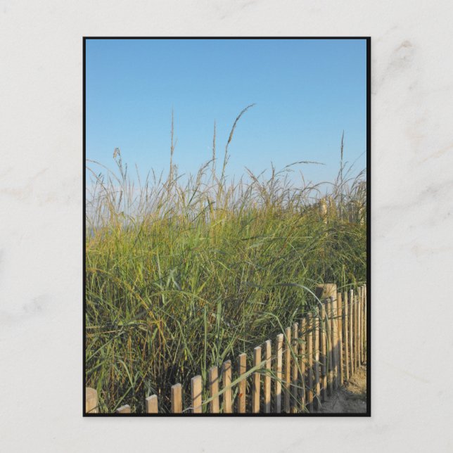 the Beach ~ 19 Postcard (Front)