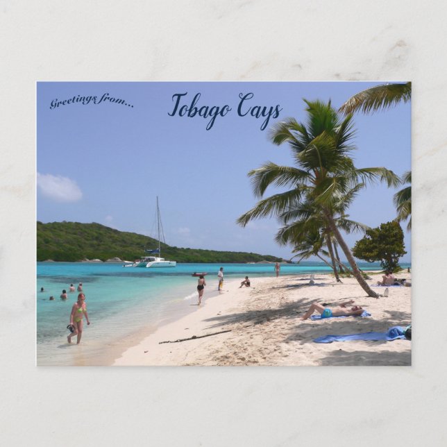 The Beach at Tobago Cays Postcard (Front)