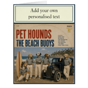 The Beach Buoys Album: a parody