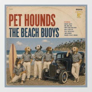 The Beach Buoys Album: a parody