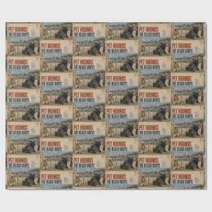 The Beach Buoys Album: a parody Wrapping Paper