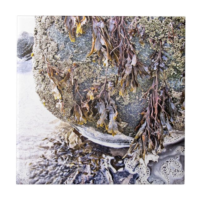 THE BEACH CERAMIC TILE (Front)