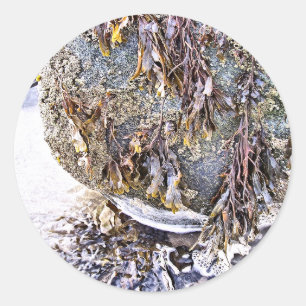 THE BEACH CLASSIC ROUND STICKER