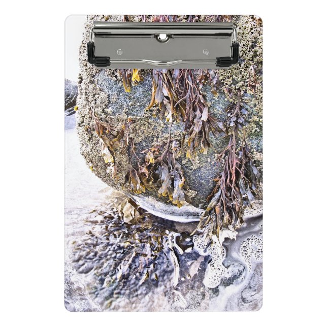 THE BEACH MINI CLIPBOARD (Front)