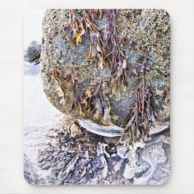 THE BEACH MOUSE PAD (Front)