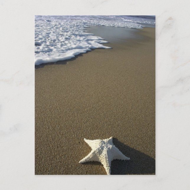 The Beach Post Card (Front)