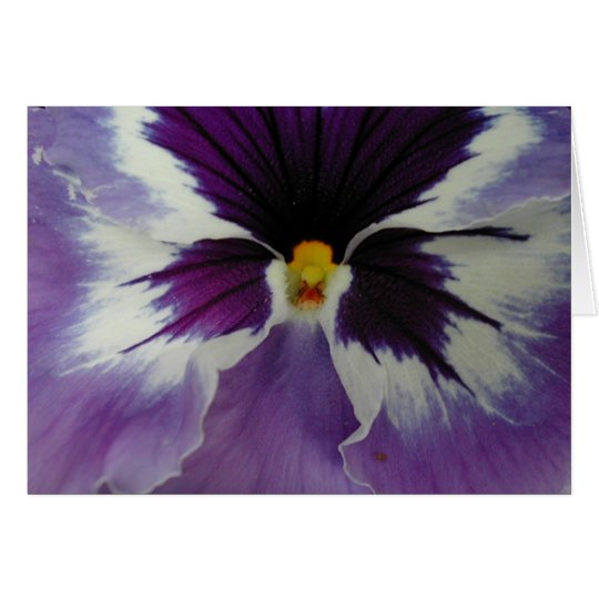the beak of a pansy? card