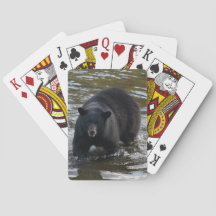 The Bear Deck