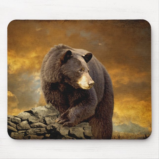 The Bear Went Over The Mountain - Mousepad (Front)