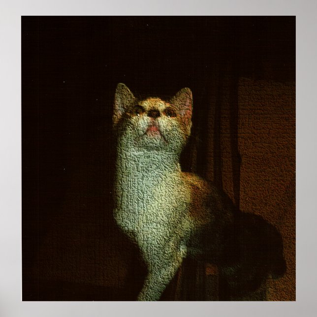 The Beatiful Sweetie Poster (Front)