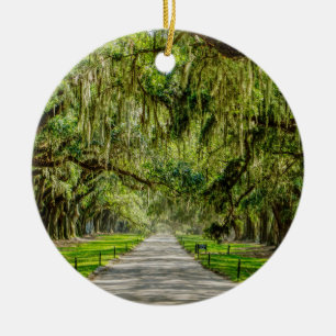 The Beautiful Avenue Of Oaks Ceramic Ornament