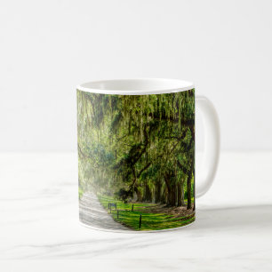 The Beautiful Avenue Of Oaks Coffee Mug