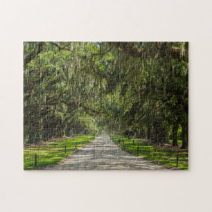 The Beautiful Avenue Of Oaks Jigsaw Puzzle