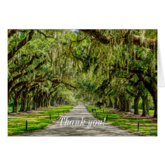 The Beautiful Avenue Of Oaks Thank You Card