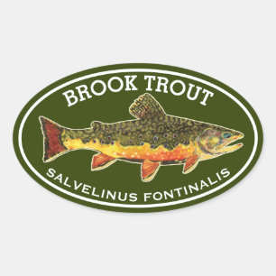 The Beautiful Brook Trout Oval Sticker
