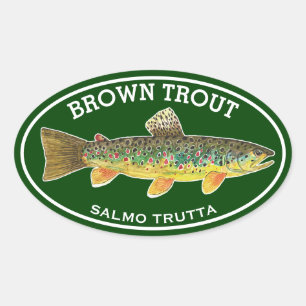 The Beautiful Brown Trout Oval Sticker