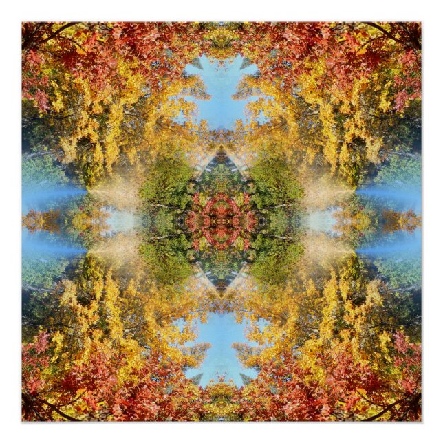 The beautiful forest in Autumn... Poster (Front)