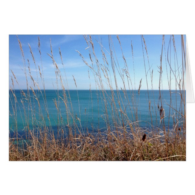 The beautiful Grass and Sea (Front Horizontal)