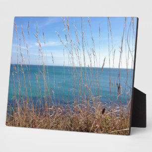 The beautiful Grass and Sea Plaque