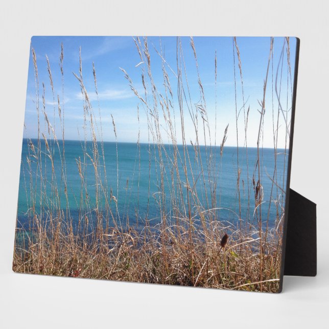 The beautiful Grass and Sea Plaque (Side)