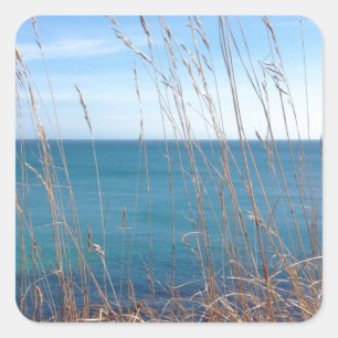 The beautiful Grass and Sea Square Sticker