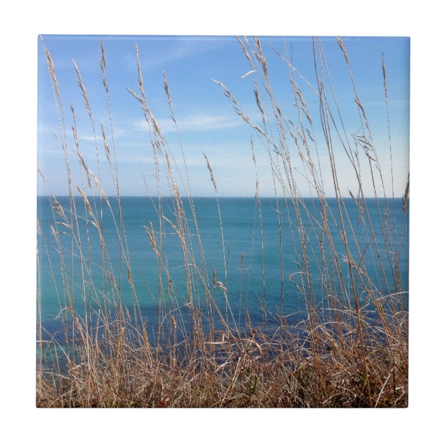 The beautiful Grass and Sea Tile (Front)
