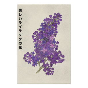 The Beautiful Lilac Flower Poster