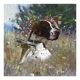 The beautiful pointer in the field  photo print