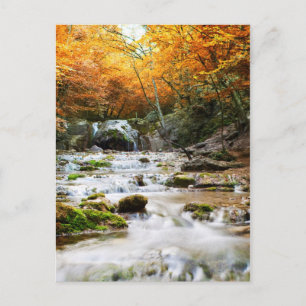 The beautiful waterfall in forest, autumn postcard