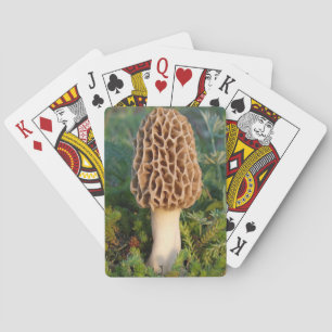 The beautifully delicious morel mushroom playing cards