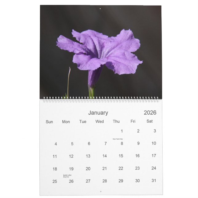 The Beauty of a Garden, 2014 Flower Calendar (Jan 2026)