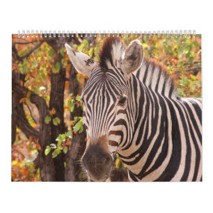 The beauty of Africa Calendar