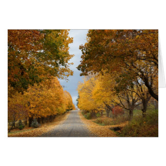 "The Beauty of Autumn"