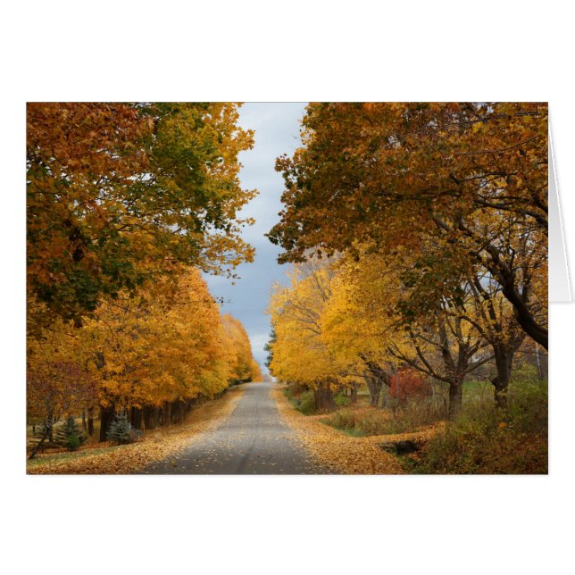 "The Beauty of Autumn" (Front Horizontal)