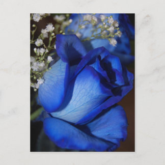 The Beauty Of Blue Postcard
