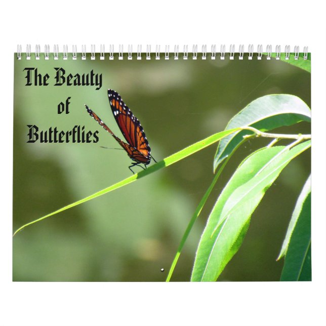 The Beauty of Butterflies Calendar (Cover)
