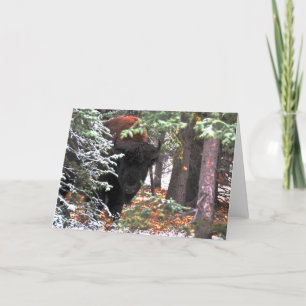 The Beauty of Chisana Card