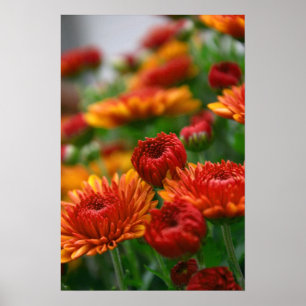 The Beauty of Fall Poster