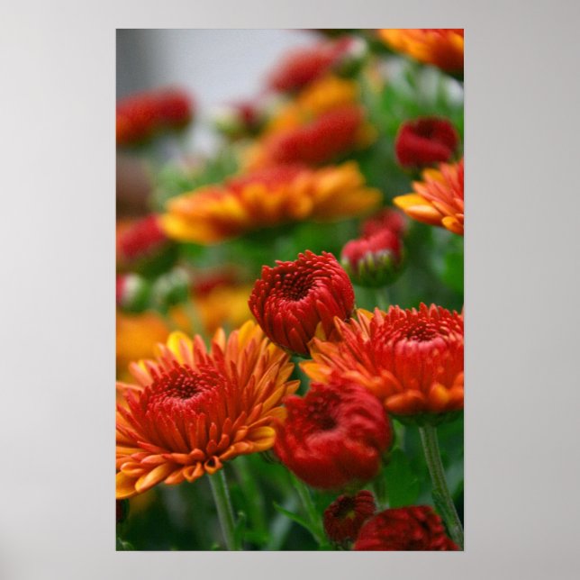 The Beauty of Fall Poster (Front)