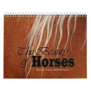 The Beauty of Horses 2011 Flip Calendar