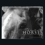 The Beauty of Horses Calendar<br><div class="desc">A calendar exhibiting my Equine Photography. Hope you guys like my photos!</div>